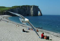 Plage Etretat